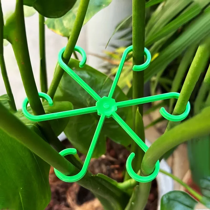 Flower Plant Stem Support Stak - Florist Supply Bulk ulasan dan harga