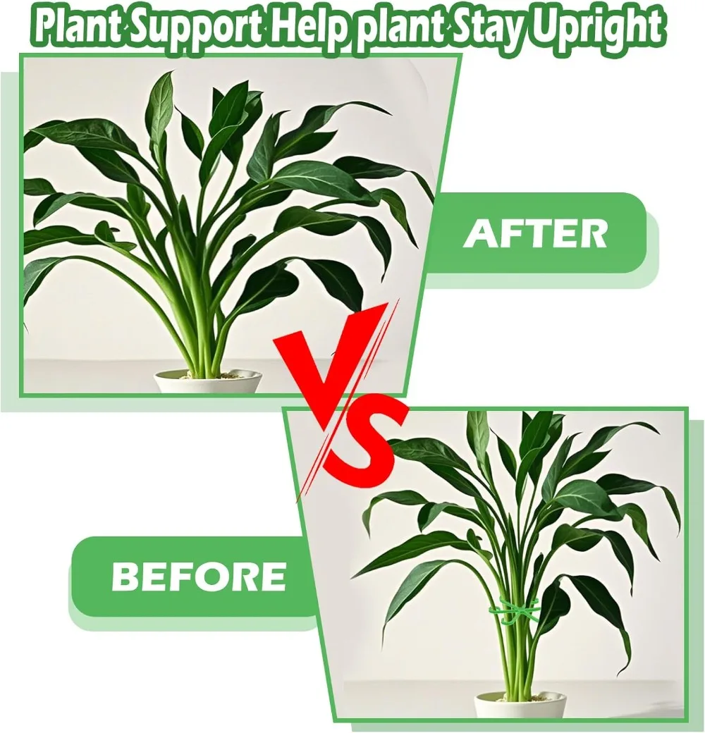 Flower Plant Stem Support Stak - Florist Supply Bulk ulasan dan harga