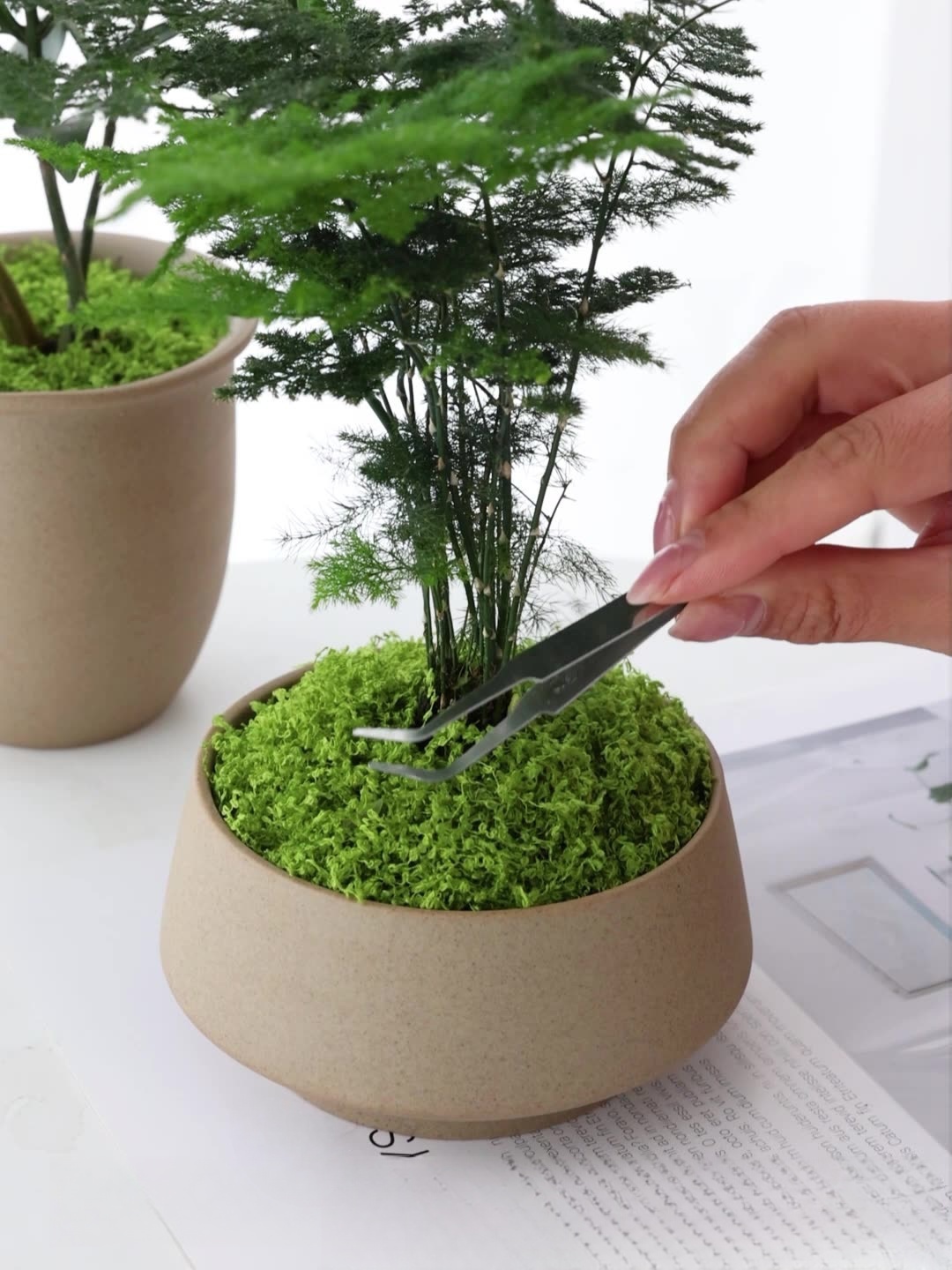Artificial moss filaments moss - Preserved Moss Sheet ulasan dan harga