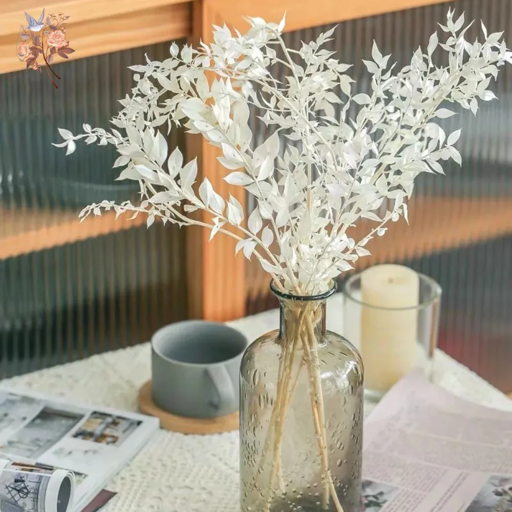 50g Artificial Dried Flower Ru - Eucalyptus Preserved ulasan dan harga