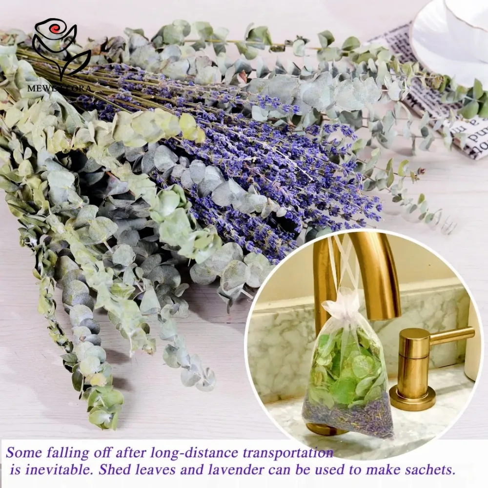 30Pcs Dried Flowers Preserved  - Eucalyptus Preserved ulasan dan harga
