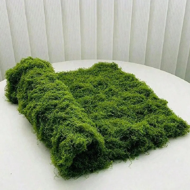 Artificial Moss for Micro-Land - Preserved Moss Sheet ulasan dan harga